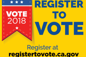 voice register to vote banner