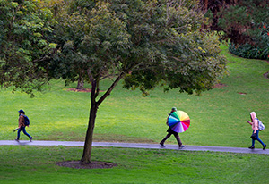 colorful umbrella in aldrich park