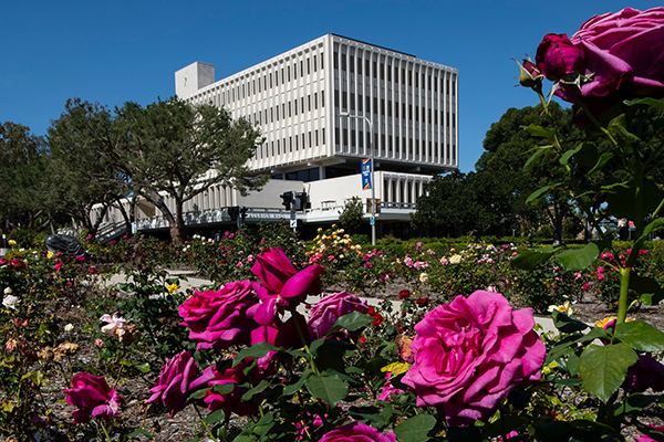 A view of Aldrich Hall from the rose garden